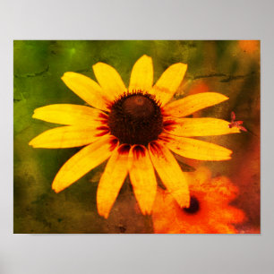 Bee On Black Eyed Susan Flower Distressed Art Poster