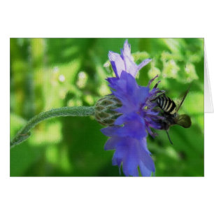 Bee on Button Flower Toutes les occasions Carte de