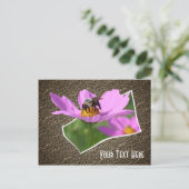 Bee On Cosmos Flower Carte Postale Personnalisable (Debout devant)