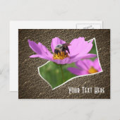 Bee On Cosmos Flower Carte Postale Personnalisable (Devant / Derrière)