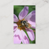 Bee On Cosmos Nature Photography Carte de visite (Dos)