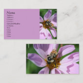 Bee On Cosmos Nature Photography Carte de visite (Devant / Derrière)