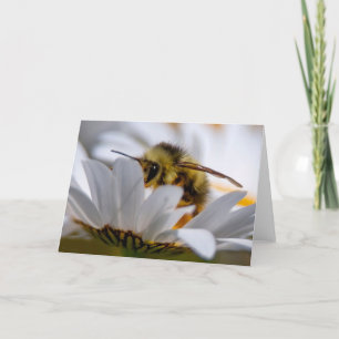Bee on Daisy - Mooie Daisy bedankkaart