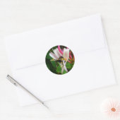 BEE ON HONEYSUCKLE Stickers (Enveloppe)