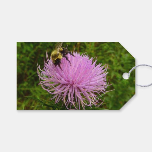 Bee on Thistle Flower Natuur Cadeaulabel (Voorkant (Horizontaal))