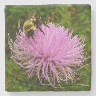 Bee on Thistle Flower Natuur Stenen Onderzetter