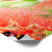 Bee op botborstel poster (Hoek)