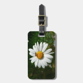 Bee op Daisy Alaskan Summer Natuur Foto Bagagelabel (Voorkant verticaal)