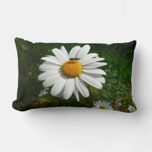 Bee op Daisy Alaskan Summer Natuur Foto Kussen