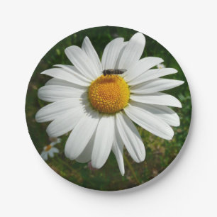 Bee op Daisy Alaskan Summer Natuur Foto Papieren Bordje