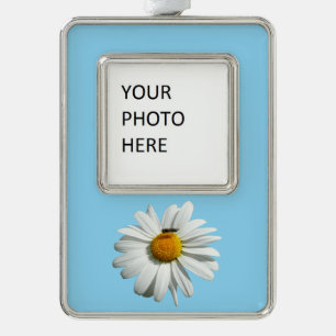 Bee op Daisy Alaskan Summer Natuur Foto Verzilverd Kader Ornament