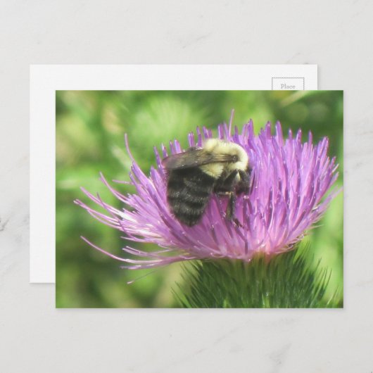 Bee op de fles briefkaart (Voorkant / Achterkant)