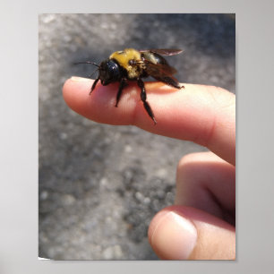 Bee op een vinger poster
