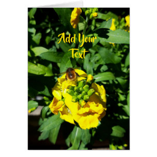 Bee op gele bloemen