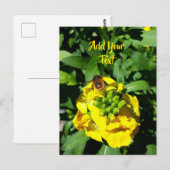 Bee op gele bloemen briefkaart (Voorkant / Achterkant)