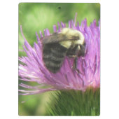 Bee op het dikke klembord (Achterkant)