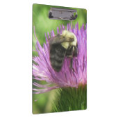 Bee op het dikke klembord (Rechts)