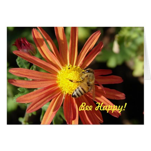 Bee op mama, Bee Happy! (Voorkant Horizontaal)