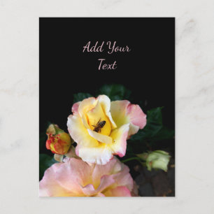 Bee op roze gele rozenbloemen briefkaart