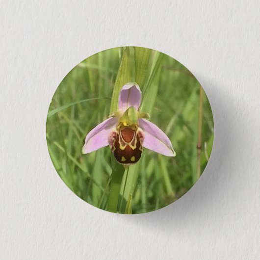 Bee Orchid Flower Ronde Button 3,2 Cm (Voorkant)