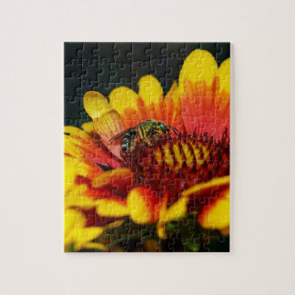 Bee Puzzle Legpuzzel