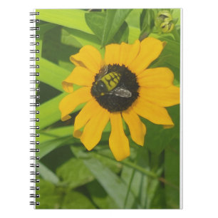 Bee Repose dans un Carnet photo à fleurs