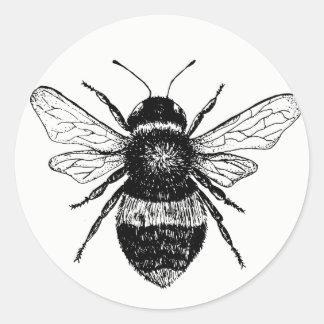  Bee Sticker Collectie