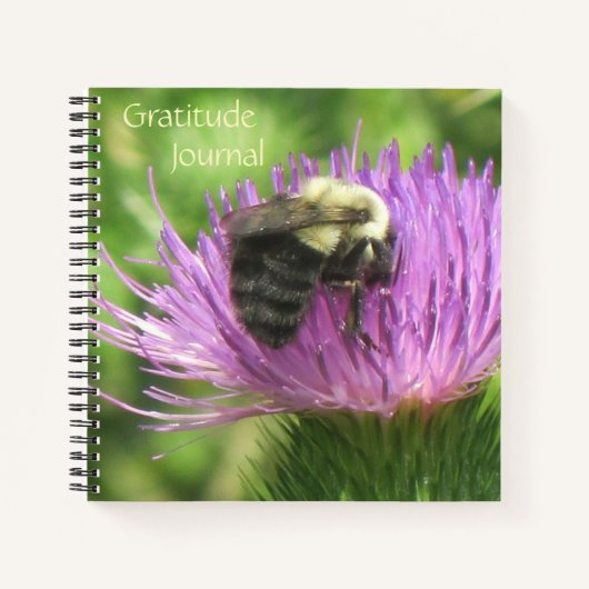 Bee Sur Thistle Gratitude Journal (Devant)
