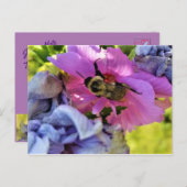 BEE SUR UNE CARTE POSTALE HIBISCUS ROSE (Devant / Derrière)