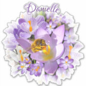 Bee verzamelt Nectar van Crocus Flowers Sticker (Voorkant)