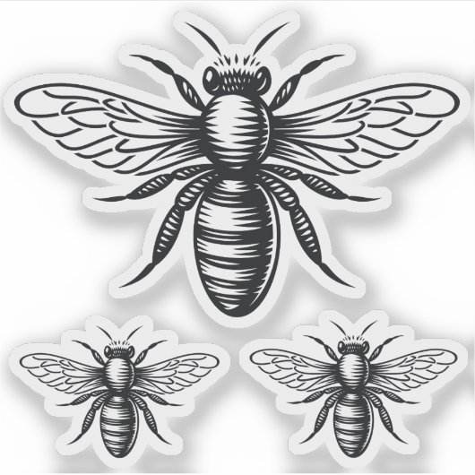 Bee vinyl stickers (Voorkant)