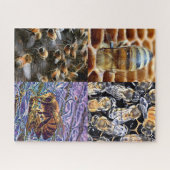 Bee Wall Art Puzzel Legpuzzel (Horizontaal)