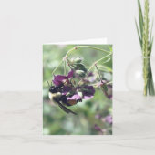 Bee With Pollen Flower Photography  (Devant)