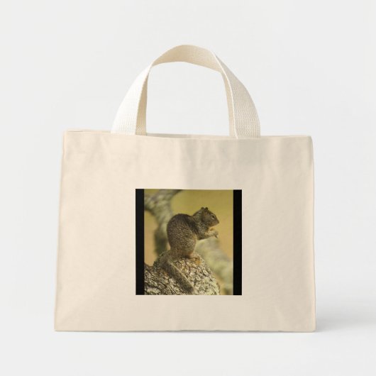 Beechey Ground Squirrel Bag Mini Tote Bag (Voorkant)
