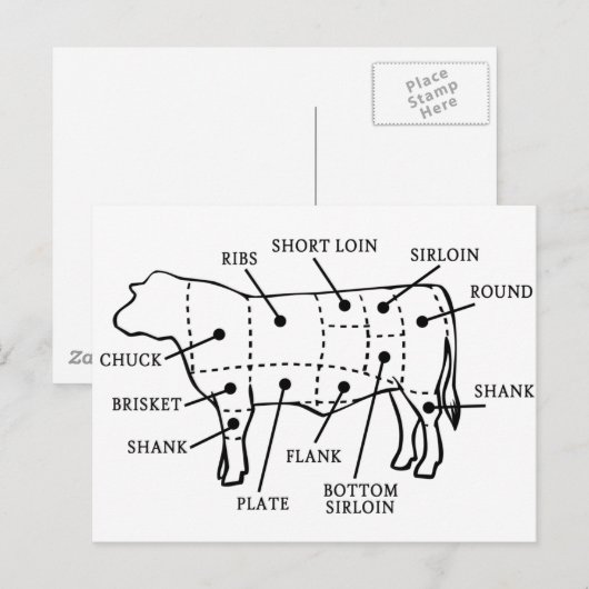 BEEFKOOL BRIEFKAART (Voorkant / Achterkant)