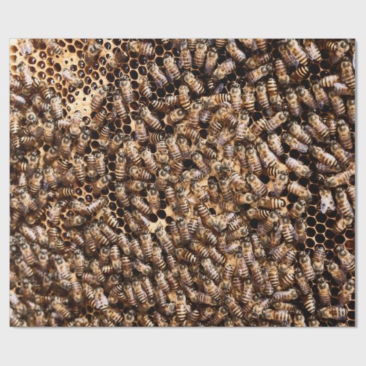 BEEHIVE CADEAUPAPIER (Vlak)