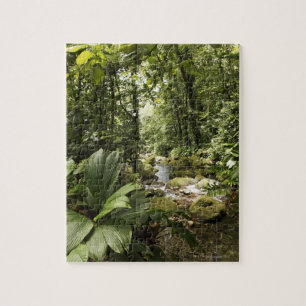 beek in het regenwoud, Dominica Legpuzzel