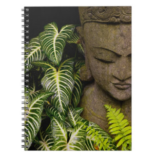 Beeld in een Garden Locatie-informatie: Chiang Ma Notitieboek