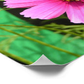 Beeld op een kosmos foto poster (Hoek)