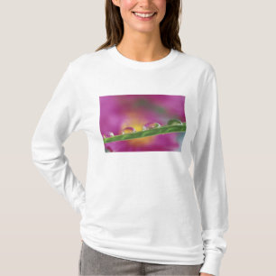 Beeld van asters gevormd in waterdruppels t-shirt