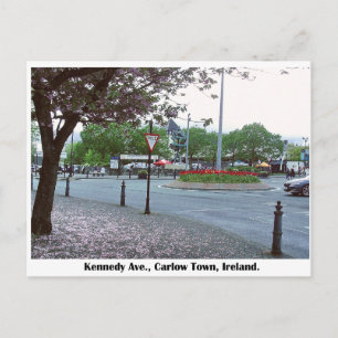 Beeld van de levensboom, stad Carlow Ierland Briefkaart