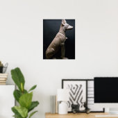 beeld van een hond, mesopotamie, c.5000-1000 BC (l Poster (Thuiskantoor)