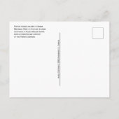 Beeld van Elzie Crisler Segar's Popeye Karakter Briefkaart (Achterkant)