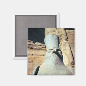beeld van Horus Magneet (Voorkant / Achterkant)