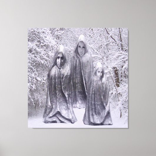 Beelden in de Winter Canvas Afdruk (Voorkant)
