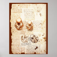 Beelden van een foetus in de baarmoeder, Verloskun