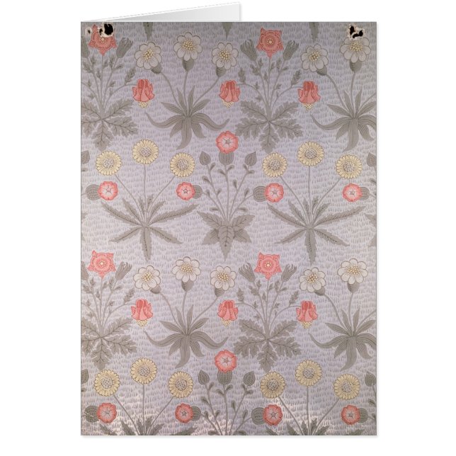 Beeldontwerp van Daisy (Voorkant)