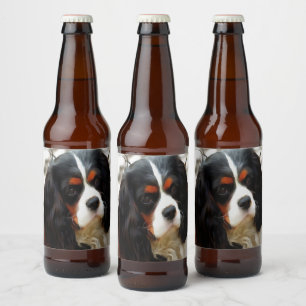 Beeltenis: A King Charles Cavalier Spaniel Bier Etiket