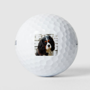 Beeltenis: A King Charles Cavalier Spaniel Golfballen