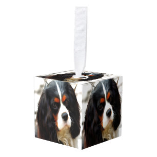 Beeltenis: A King Charles Cavalier Spaniel Kubus Ornament